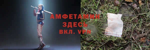 ПСИЛОЦИБИНОВЫЕ ГРИБЫ Балахна
