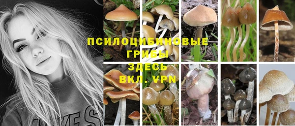 ПСИЛОЦИБИНОВЫЕ ГРИБЫ Балахна
