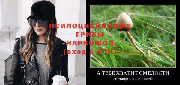 ПСИЛОЦИБИНОВЫЕ ГРИБЫ Балахна