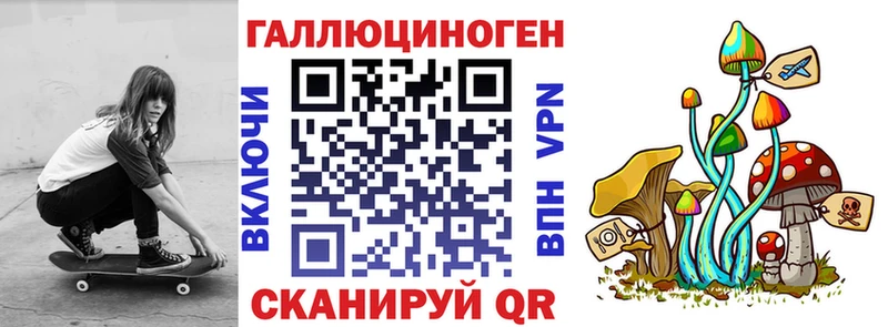 Галлюциногенные грибы Psilocybe  Городец 